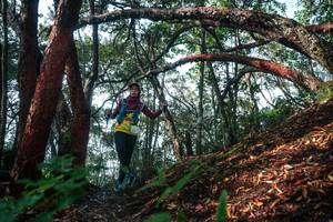 BIB: 
                            <button type="button" onclick="openModal(26344265)" class="btn btn-primary btn-sm float-right btn-popup" data-toggle="modal" data-target=".modal-high-quality">
                        <i class="fas fa-shopping-cart"></i> Add to Cart
                    </button>
                                            <button type="button" onclick="isThisMe(26344265, true)" class="btn btn-success btn-sm float-right btn-popup btn-isme hidden" data-toggle="tooltip" data-placement="bottom" title="นี่คือรูปของคุณใช่ไหม คลิกที่นี่เพื่อเอาเข้าอัลบั้ม">
                        <i class="fas fa-plus"></i> Add to album
                    </button>
                    <button type="button" onclick="isThisMe(26344265, false)" class="btn btn-warning btn-sm float-right btn-popup btn-isnotme hidden">
                        <i class="fas fa-ban"></i> Remove from album
                    </button>